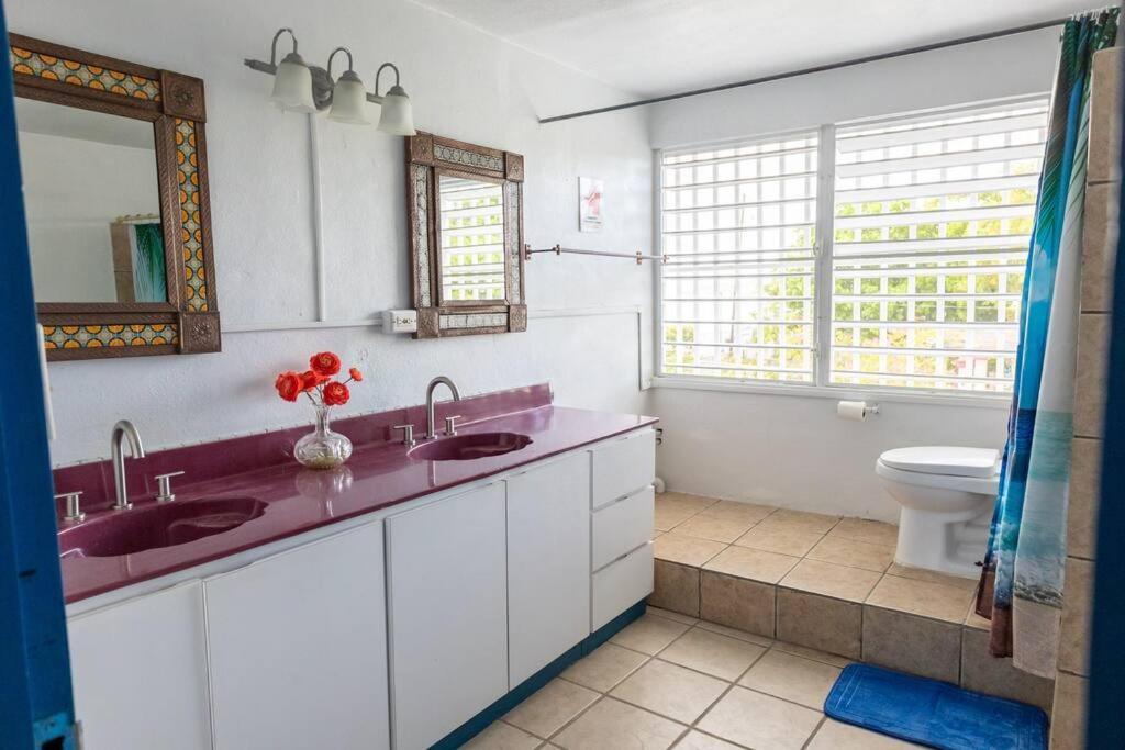 Beachfront Suite 6 Karaya Βιέκες Εξωτερικό φωτογραφία